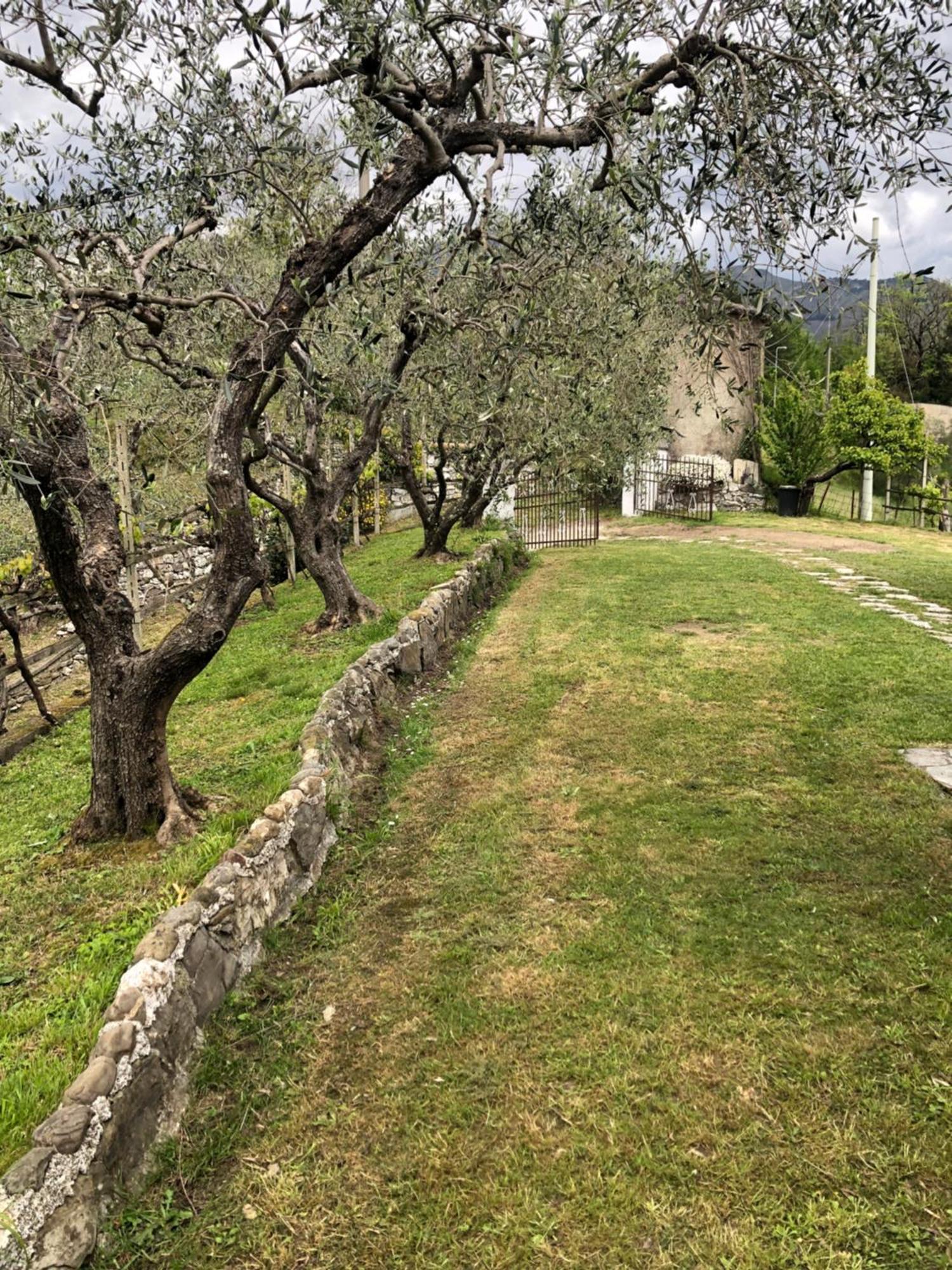 Villa Elena Mezzanego Exterior photo